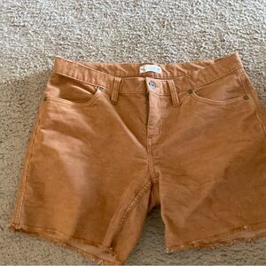 Carve Designs Brown Corduroy Shorts